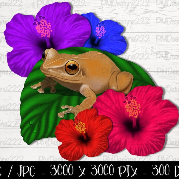 Hand drawn coqui png, frog png, tropical clipart, Puerto Rican digital art, hibiscus png, coqui clipart, tropical sublimation png design