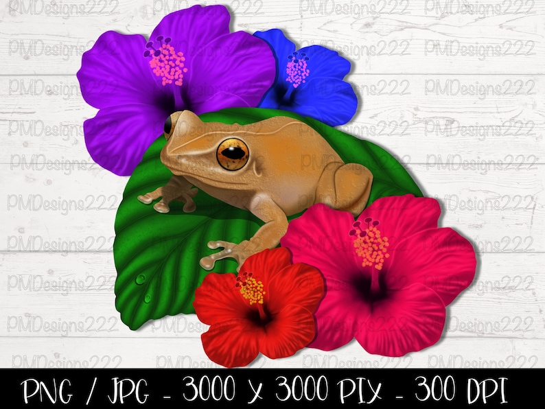 May include: A brown frog sitting on a green leaf with four hibiscus flowers in purple, blue, red, and pink.