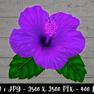 Purple Hibiscus flower digital printable, hibiscus flower clipart, purple flower png, tropical flower clipart, printable digital download