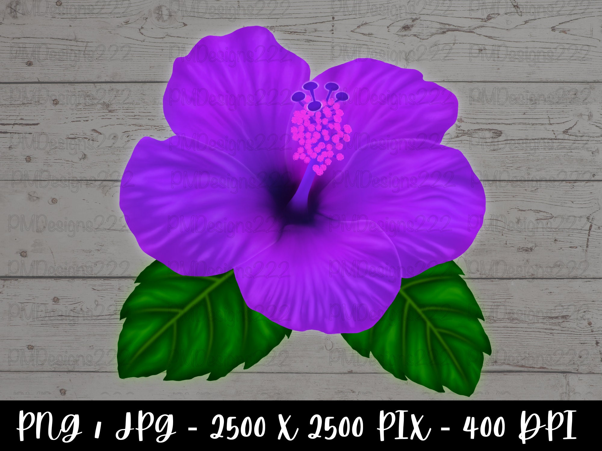 Purple Hibiscus Flower Digital Printable Hibiscus Flower Clipart