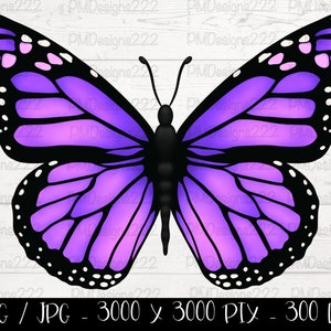 青い蝶のpng、蝶のpng、蝶のクリップアート、青い蝶の昇華グラフィック