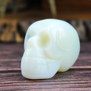 May include: White opal skull sculpture. The skull is carved in detail and has a smooth, polished finish.