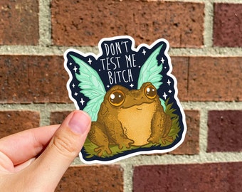 Don't Test Me Bitch Fairy Toad Sticker | Don't test me Sticker | Try Me Bitch Toad Sticker | Fairycore Sticker | Fairy Wing Frog Sticker