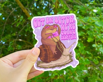 Può includere: Un adesivo rosa con una rana di cartone animato che indossa occhiali da sole e cavalca una lumaca. L'adesivo dice "Get in Bitch, We're Going Shopping".