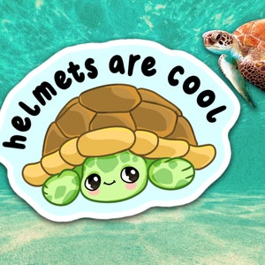 May include: A sticker featuring a cartoon turtle with the text "helmets are cool." The turtle has a green head and limbs, a brown shell, and a light blue background. A real sea turtle is in the upper right corner.