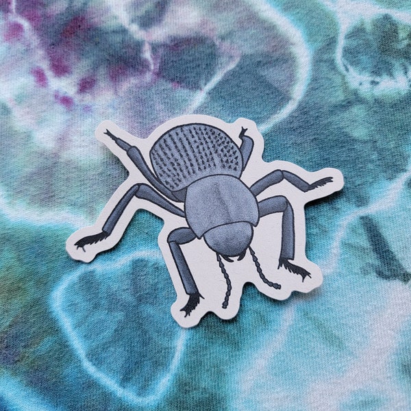 Blue Death Feigning Beetle Sticker V2