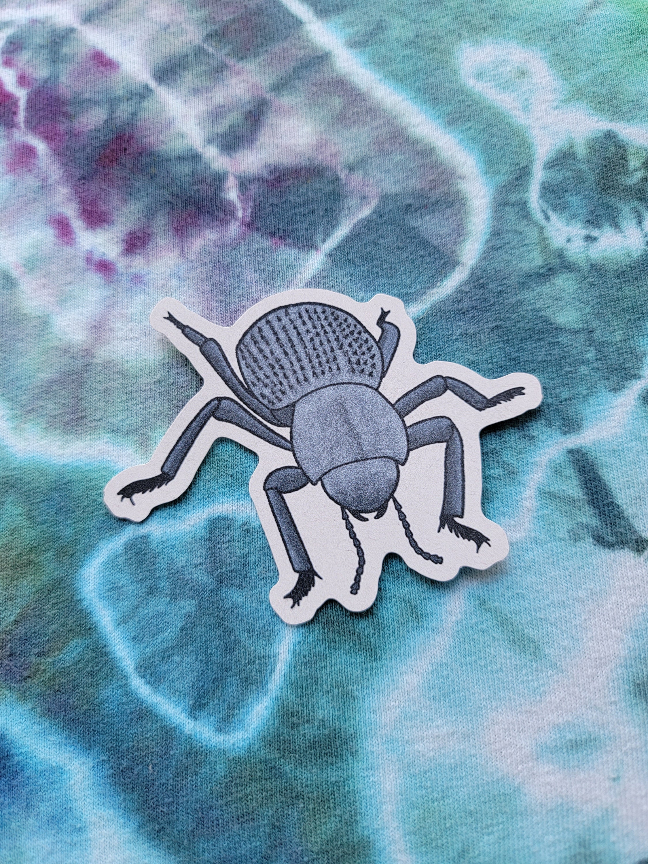 Blue Death Feigning Beetle Sticker