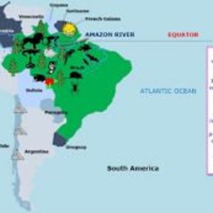 May include: A map of South America with the Amazon River highlighted in green. The text "The Amazon Rainforest is the world's largest tropical rainforest. Located in South America, it covers a vast amount of South America. It extends into other countries in South America: Brazil, Additionally, it extends into other countries in South America: Ecuador, Bolivia, Peru, Venezuela, Colombia, Belize, Guyana, and French Guiana. It is home to several million species, both in insects, birds, and monkeys. Due to an increase in human population, mining, deforestation, and climate change, the Amazon Rainforest is in danger. Consequently, many plants and animals in the rainforest could soon become extinct." is included in the image.