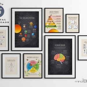 Educational printable, Science fundamentals infographics poster, Classroom Homeschool visuals, Learning illustrations, Resources tools decor