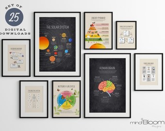 Educational printable, Science fundamentals infographics poster, Classroom Homeschool visuals, Learning illustrations, Resources tools decor
