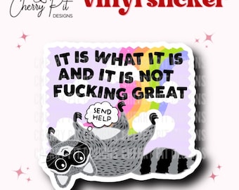 Sticker vinyle C'est ce que c'est et ce n'est pas génial, Sticker raton laveur drôle, Sticker c'est ce que c'est, Sticker santé mentale pour ordinateur portable