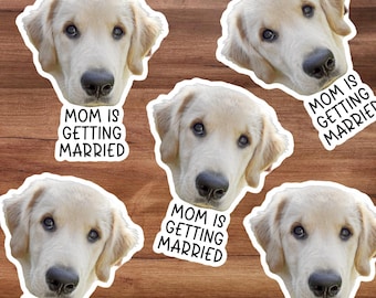 Custom Photo Confetti or Stickers: Bachelorette Party Favors, Bridal Shower Decoration, Pet Stickers