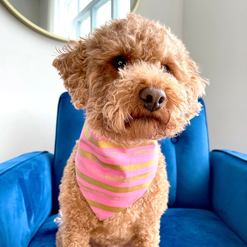 Dog Bandana Pattern, Tutorial Snap Closure Pet Bandana, PDF Scarf