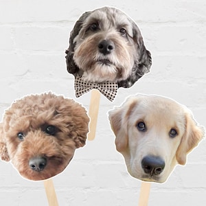 Pet Face on a Stick, Dog Decoration, Big Head Face Cutout, Cat Decor, Bachelorette Party Decor, Birthday Party Supplies, Dog Lover Gift