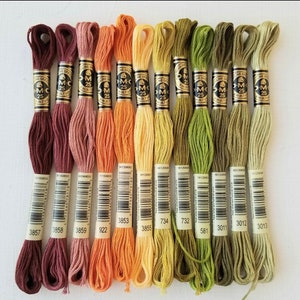 Fall Hand embroidery floss bundle || Embroidery Floss Bundle || DMC Six-Stranded floss skeins, Embroidery threads || Bundle of the month