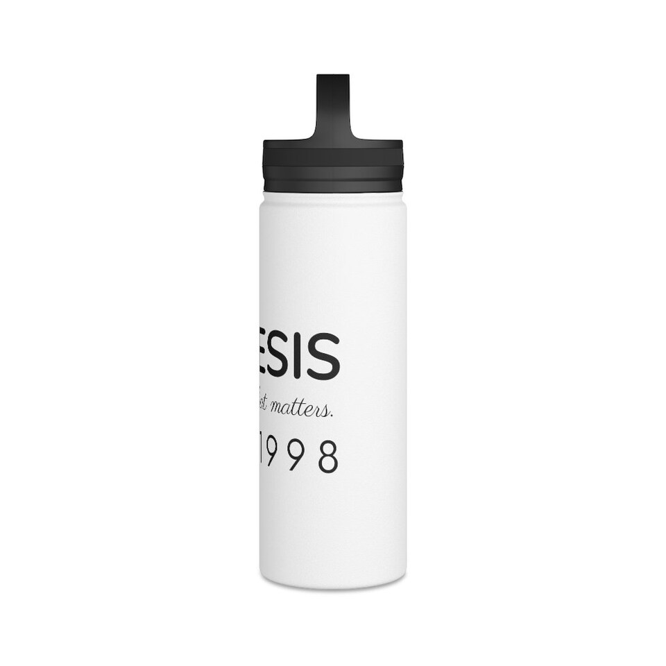 Nemesis Stainless Steel Water Bottle, Handle Lid