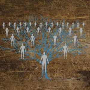 Ancestral Healing