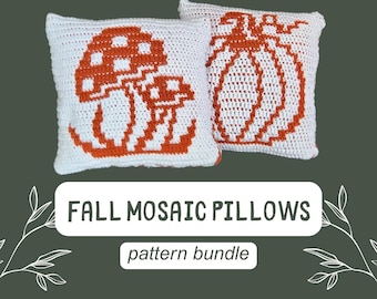 Fall Pillow/Pillow Cover BUNDLE - PATTERNS ONLY - Beginner Friendly Mosaic Crochet
