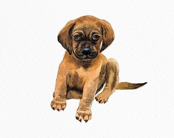 Mini Custom Watercolor Pet Portrait, Dog Portraits from Photos,Dog Portraits From Photos, Pet Painting, Custom Tiny Paintings, Hand Painted