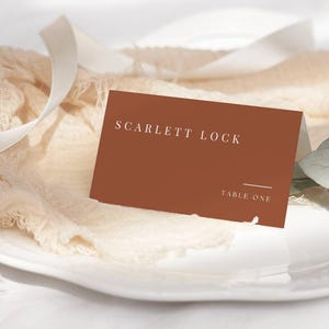 Puede incluir: Una tarjeta de lugar de color terracota con el nombre "Scarlett Lock" y "Table One" impresos en blanco. La tarjeta descansa sobre un plato blanco con un tenedor dorado, una ramita de vegetación y tela color crema.