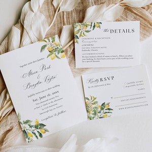 Faire-part de mariage à destination de la Grèce, modèle de suite d'invitations méditerranéennes, ensemble de mariage en Italie numérique, ensemble de détails d'invitation d'agrumes AT22