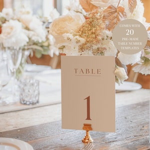 Boho Wedding Table Numbers PRINTABLE  Dusty Pink Table Number, Terracotta Wedding Reception Decor, Rustic Table Sign Editable Template AT03