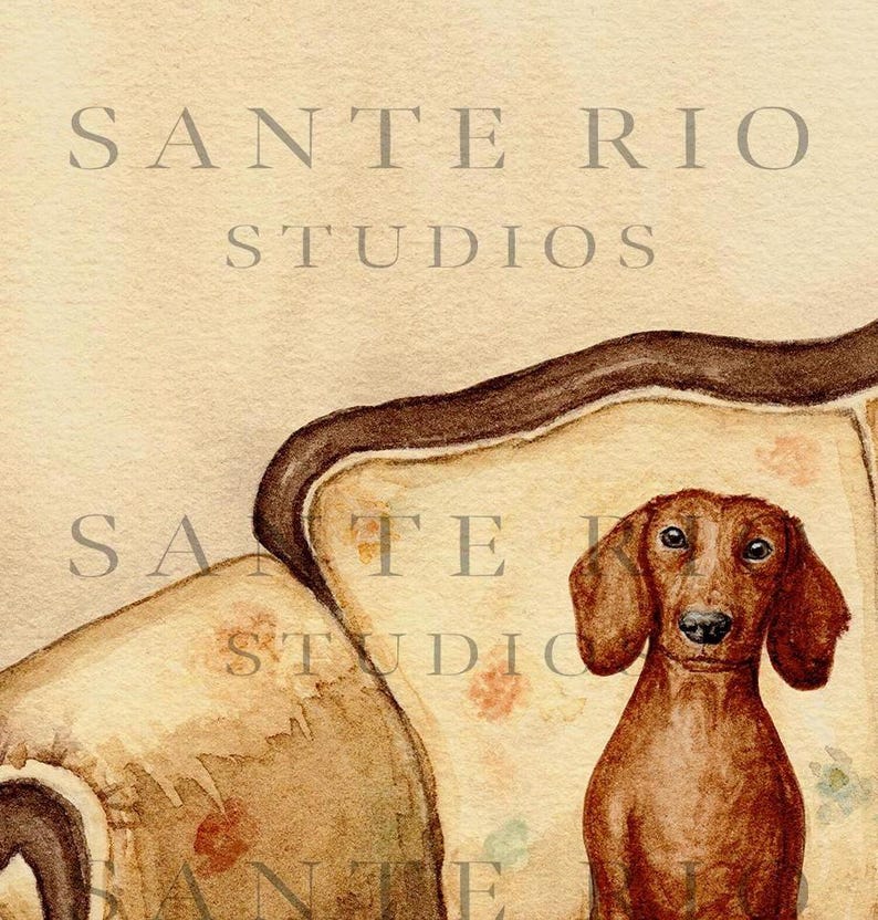 Op de afbeelding: Waterverfschilderij van een bruine teckel die op een vintage fauteuil zit. De hond heeft slappe oren en een geconcentreerde blik. De fauteuil heeft een bloemenpatroon en een donkerbruine rand. De tekst "SANTE RIO STUDIOS" is zichtbaar.