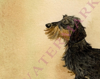 Ruwharige grijze gevlekte teckel aquarel kunstafdruk: Doxie huisdierportret (INGElijst)