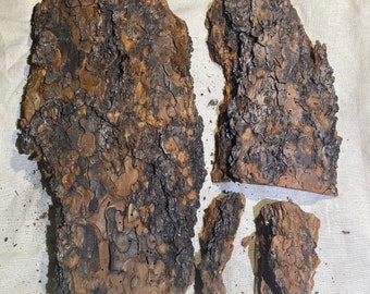 Natural pine tree bark