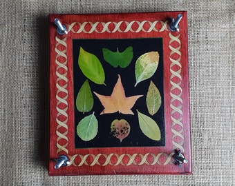 Flower press, Oshibana art, Field plant press, Children&#39;s flower press, Birthday gift, Mother&#39;s day gift.