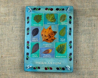 Flower press, Oshibana art, Field plant press, Children&#39;s flower press, Birthday gift, Mother&#39;s day gift.