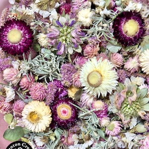 May include: A close-up of a collection of dried flowers in shades of purple, pink, and cream. The arrangement includes various flower types, such as strawflowers and globe amaranth, with green foliage. The Denton Creek Gardens logo is visible.