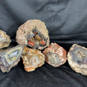 Può includere: Una collezione di cinque geodi di agata grezzi e non lucidati, caratterizzati da croste esterne ruvide e strutturate in tonalità marroni e beige. Le pietre sono aperte per rivelare bande interne, strutture cristalline e depositi minerali rossi, grigi e bianchi.