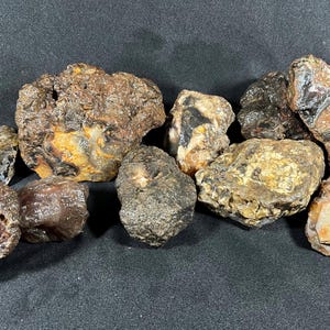 Puede incluir: Una colección de diez rocas en bruto y sin pulir con texturas variadas y tonos tierra. Las piedras muestran una mezcla de depósitos minerales marrones, bronceados, negros y blancos translúcidos, con superficies porosas y patrones de bandas suaves.