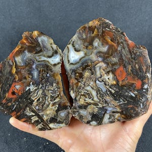 May include: Two halves of a polished agate geode featuring intricate patterns of brown, black, white, and reddish-orange mineral inclusions. The stone displays a complex, fractured structure with translucent crystalline areas and dark, opaque bands.