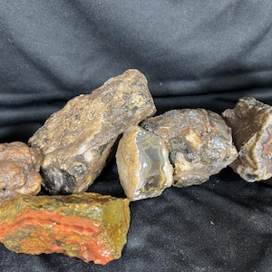 Può includere: Una collezione di pietre d'agata grezze e non lucidate con texture variegate e toni della terra. Le rocce mostrano striature naturali, centri grigi traslucidi e depositi minerali arancioni e marroni sulle loro superfici ruvide e irregolari.