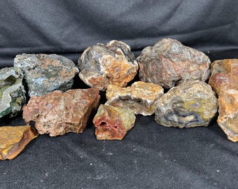 May include: A collection of eleven raw, unpolished rocks and mineral specimens in various earthy tones including brown, gray, rust, and ochre. The stones feature rough, jagged textures, with some displaying internal banding, crystalline cavities, and layers.