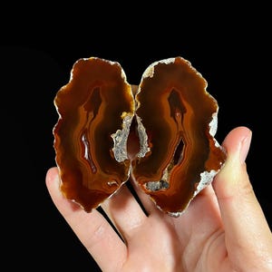 Può includere: Due fette di agata lucidata che presentano bande concentriche color marrone rossastro intenso e ambra con una qualità traslucida. Le pietre hanno bordi esterni irregolari e frastagliati con una consistenza cristallina ruvida e una cavità centrale.