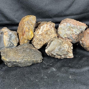 Può includere: Una collezione di rocce grezze e non lucidate e campioni di minerali in varie tonalità di marrone, grigio e marrone chiaro. Le pietre presentano forme irregolari e frastagliate con superfici ruvide e strutturate e alcune parti lisce e traslucide.
