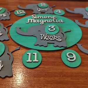 Customized, Hand-made, Elephant Baby Milestone Marker, Baby Shower Gift, Baby, Milestone Marker, Pictures, Boy, Girl