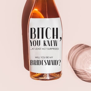FUNNY BRIDESMAID PROPOSAL champagne label, Will You Be My Bridesmaid, Maid of Honor, Bridal Party Gift, Best Friend Wedding, wine Label