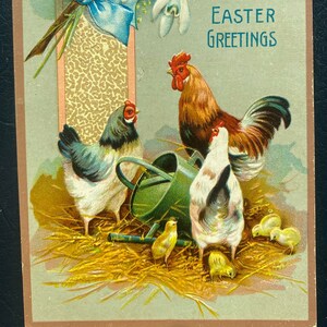 Vintage Rare Easter Greetings Postcard Rooster, Hen & Chicks Hay Watering Can Cotton Plant Embossed Gold Gilded Textured Antique Unsent 7f