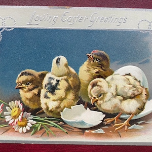 May include: A vintage Easter greeting card featuring four baby chicks. The chicks are yellow and brown with fluffy feathers. The card has a blue background with a silver border and the text "Loving Easter Greetings".
