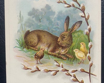 VGC Vintage Rare Easter Postcard James E. Pitts Bunny Rabbit Chicks Grass Clouds Cotton Plant Textured Gilded Embossed Antique Stamp Sent 3t