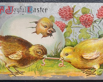 Rare Vintage Joyful Easter German Postcard Chicks Hatch From Egg & Fight Over Worm Silver Gilded Textured Embossed Antique Stamp Sent 629