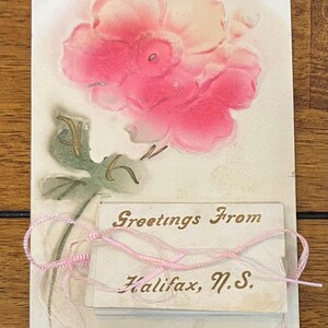 May include: Vintage postcard featuring a pink flower illustration with a green stem and leaves. The postcard has the text "Greetings From Halifax, N.S." in gold lettering, tied with a pink ribbon.