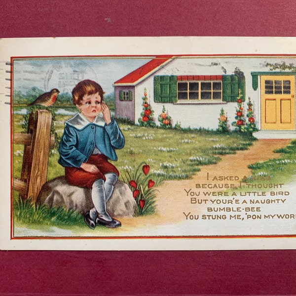Crying Little Boy Sailor Suit Vintage Valentine's Day Bird Fence Post Cottage New England Stung Whitney Made Postcard Embossed Antique