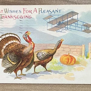 May include: Vintage Thanksgiving postcard featuring two turkeys, a pumpkin, and an airplane. The text reads "Best Wishes For A Pleasant Thanksgiving" in red and black. The illustration has a rustic, nostalgic feel.