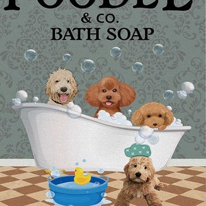Sabonete de banho Poodle – Poodle And CO. Sabonete de banho, lave suas patas Poster Decoração de casa Decoração de parede