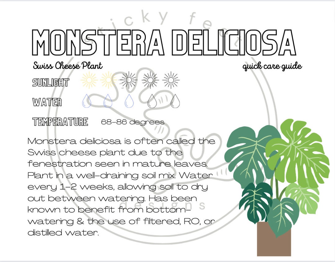 Monstera Deliciosa Quick Care Guide - Etsy